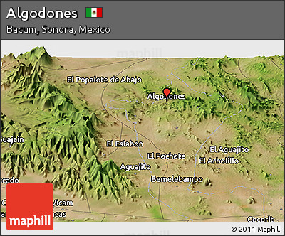 Satellite Panoramic Map of Algodones