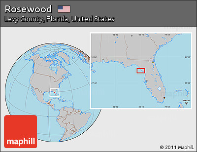 Gray Location Map of Rosewood
