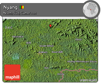 Satellite 3D Map of Nyang
