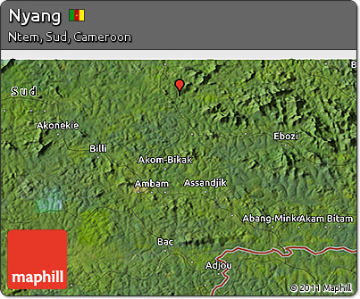 Satellite 3D Map of Nyang