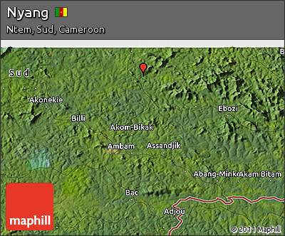 Satellite 3D Map of Nyang
