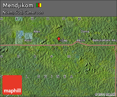 Satellite Map of Mendjikom
