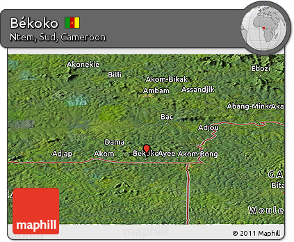 Satellite Panoramic Map of Békoko