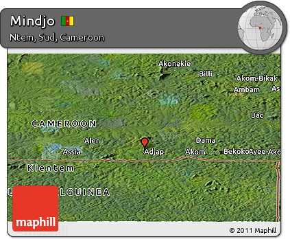 Satellite Panoramic Map of Mindjo