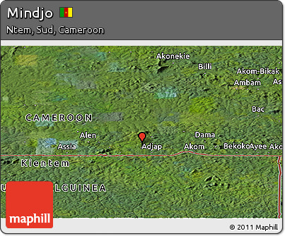 Satellite Panoramic Map of Mindjo