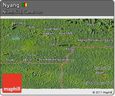 Satellite Panoramic Map of Nyang