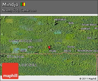 Satellite Panoramic Map of Mindjo