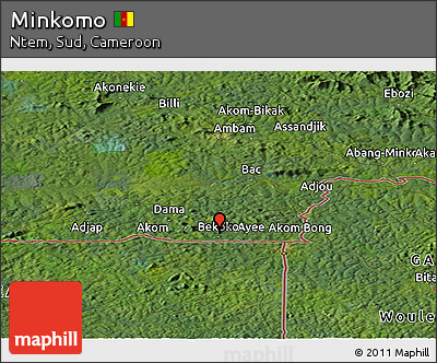 Satellite Panoramic Map of Minkomo