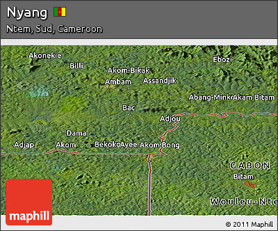 Satellite Panoramic Map of Nyang