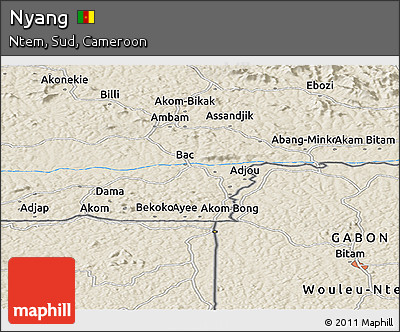 Shaded Relief Panoramic Map of Nyang