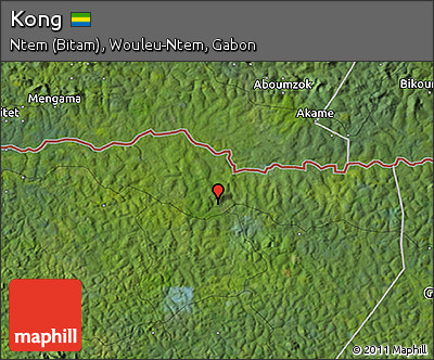 Satellite 3D Map of Kong