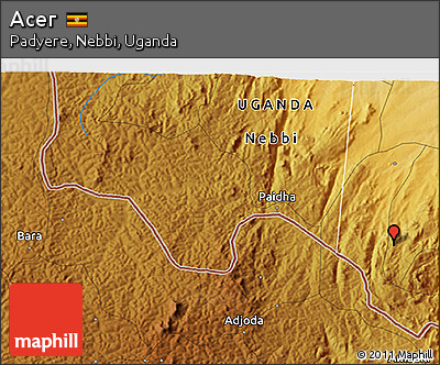 Physical 3D Map of Acer