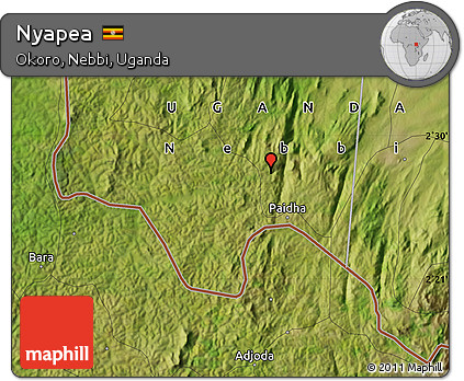 Satellite Map of Nyapea