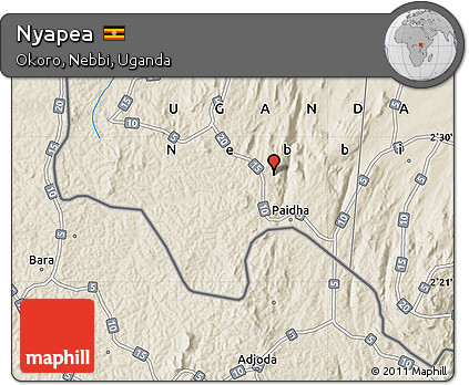 Shaded Relief Map of Nyapea