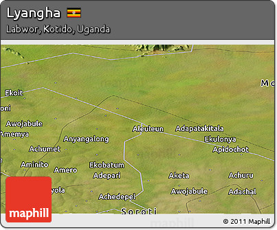 Satellite Panoramic Map of Lyangha