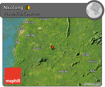 Satellite 3D Map of Nkolong