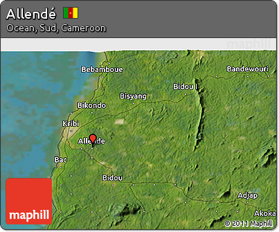 Satellite 3D Map of Allendé
