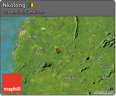 Satellite 3D Map of Nkolong