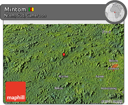 Satellite 3D Map of Mintom