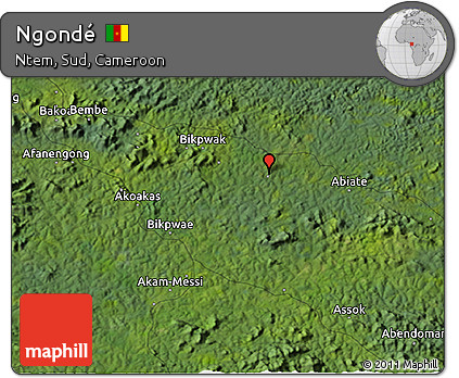 Satellite 3D Map of Ngondé