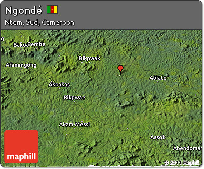 Satellite 3D Map of Ngondé