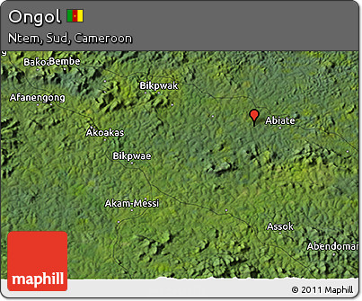 Satellite 3D Map of Ongol