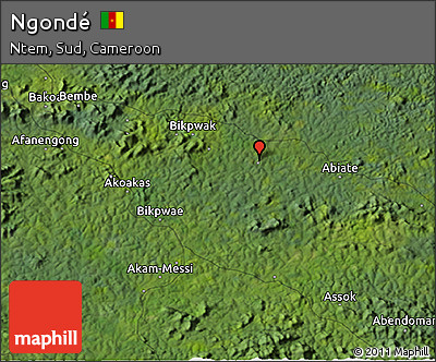 Satellite 3D Map of Ngondé