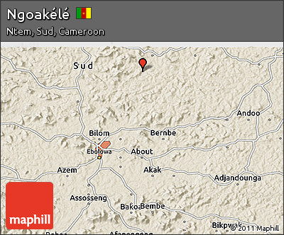 Shaded Relief 3D Map of Ngoakélé