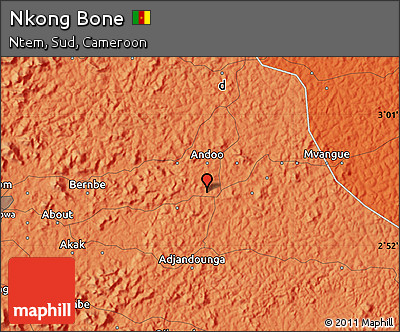 Political Map of Nkong Bone