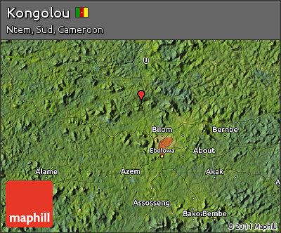 Satellite Map of Kongolou