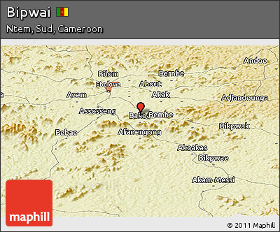 Physical Panoramic Map of Bipwai