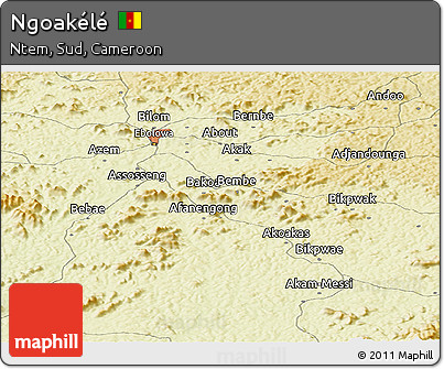 Physical Panoramic Map of Ngoakélé
