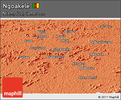 Political Panoramic Map of Ngoakélé
