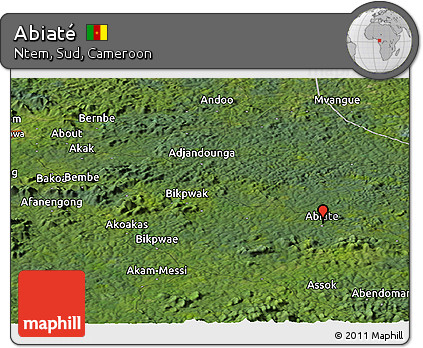 Satellite Panoramic Map of Abiaté