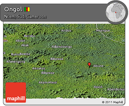 Satellite Panoramic Map of Ongol