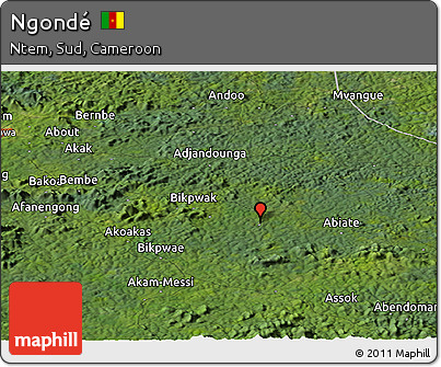 Satellite Panoramic Map of Ngondé