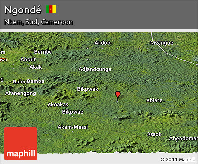 Satellite Panoramic Map of Ngondé