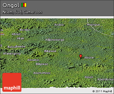 Satellite Panoramic Map of Ongol