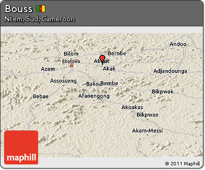 Shaded Relief Panoramic Map of Bouss