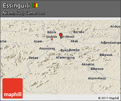 Shaded Relief Panoramic Map of Essinguili