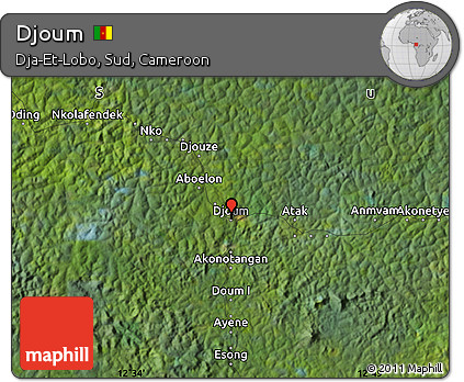 Satellite Map of Djoum