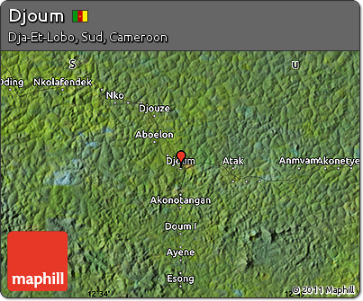 Satellite Map of Djoum