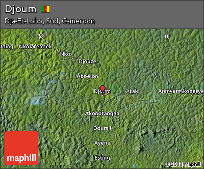Satellite Map of Djoum