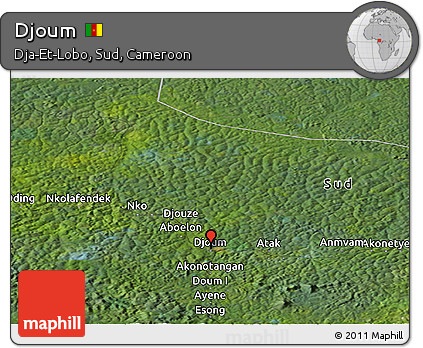 Satellite Panoramic Map of Djoum