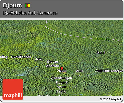 Satellite Panoramic Map of Djoum