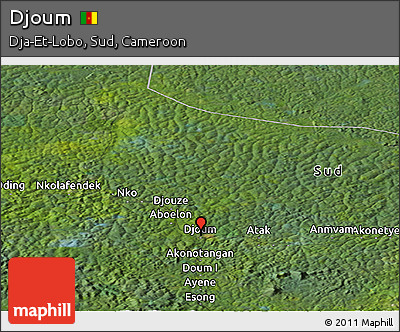 Satellite Panoramic Map of Djoum