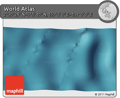 Satellite 3D Map of the Area around 2° 48' 4" N, 133° 31' 30" E