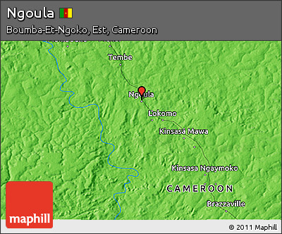 Political 3D Map of Ngoula