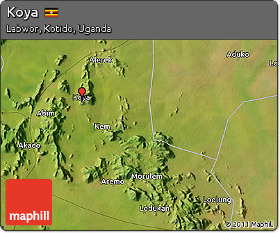 Satellite 3D Map of Koya