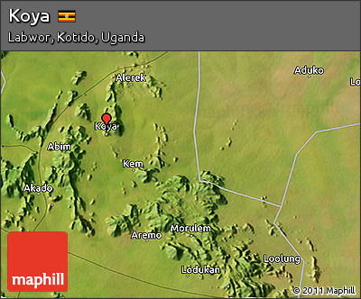 Satellite 3D Map of Koya